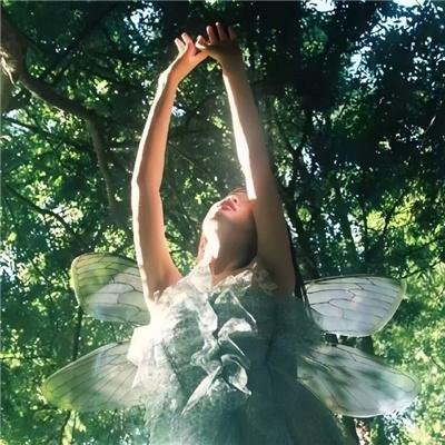 暗恋是一场困局